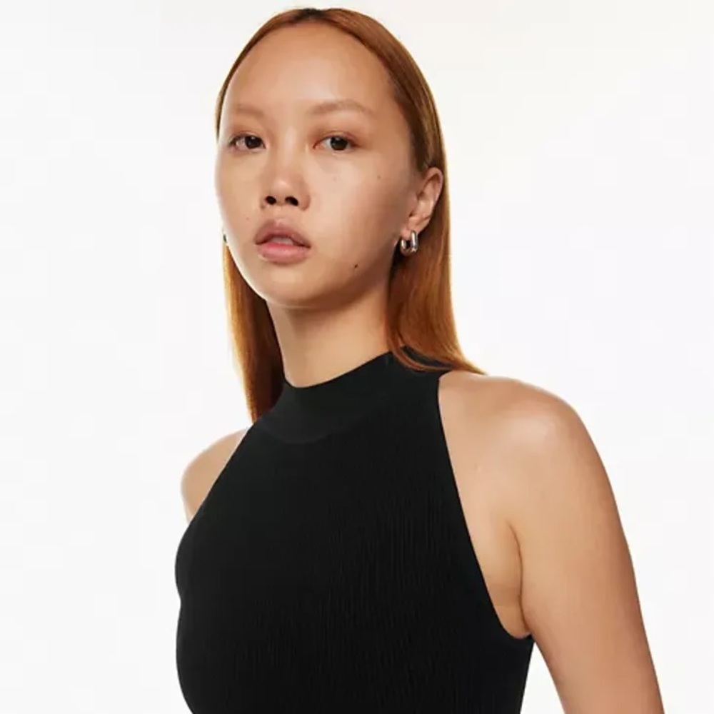 Babaton Sculpt Knit Mockneck Halter Top